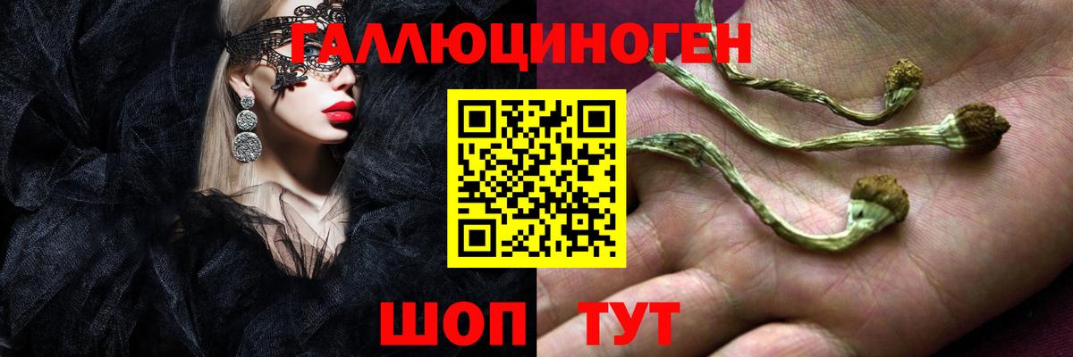 Галлюциногенные грибы мухоморы Великий Устюг